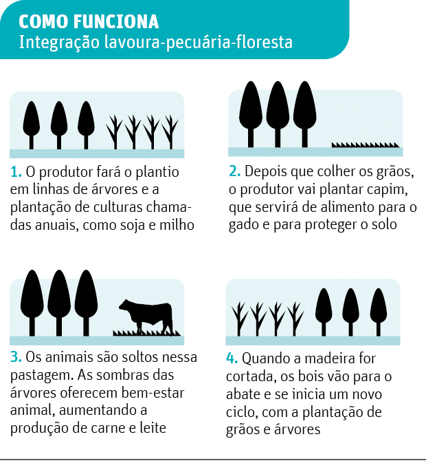 COMO FUNCIONAIntegração lavoura-pecuária- floresta