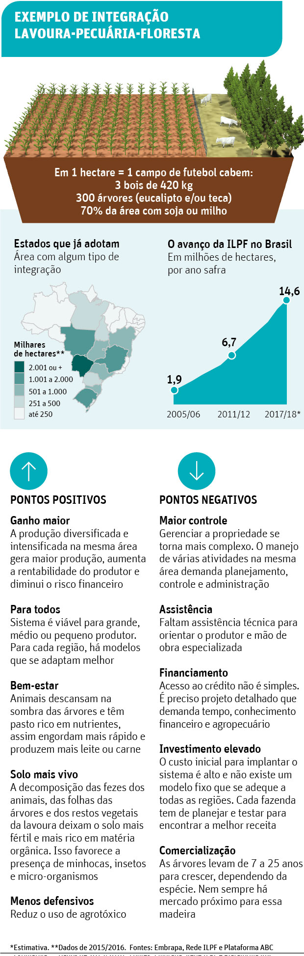 EXEMPLO DE INTEGRAÇÃO LAVOURA-PECUÁRIA-FLORESTA